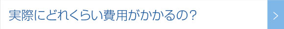 実際にどれくらい費用がかかるの？